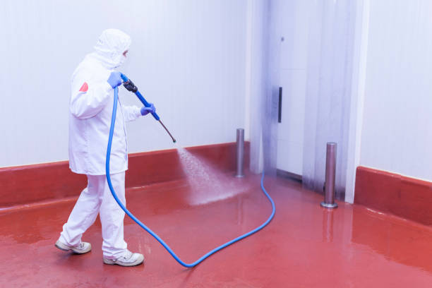 Best Driveway Pressure Washing  in Spring Mount, PA